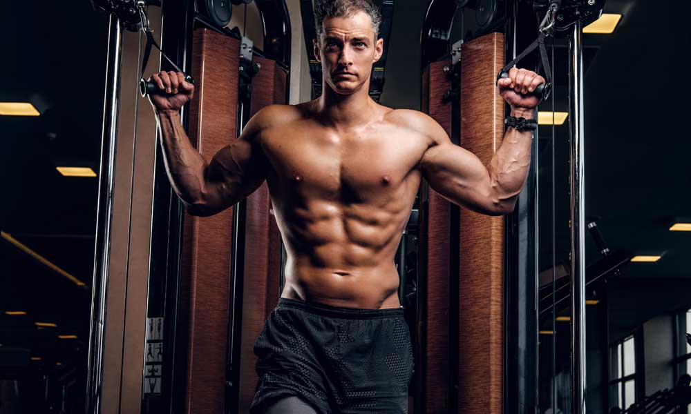 The Top Muscle Building Supplements