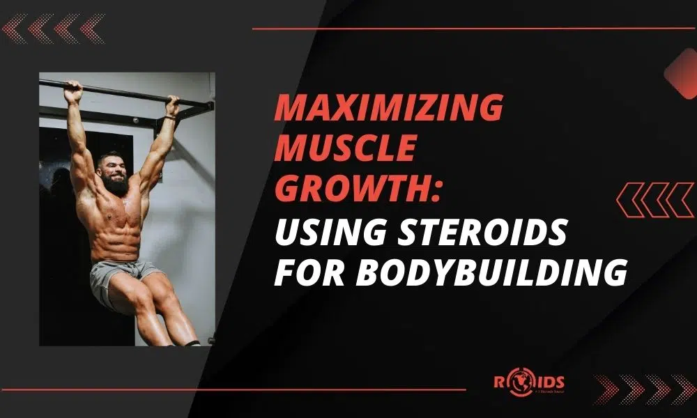 Maximizing Muscle Growth
