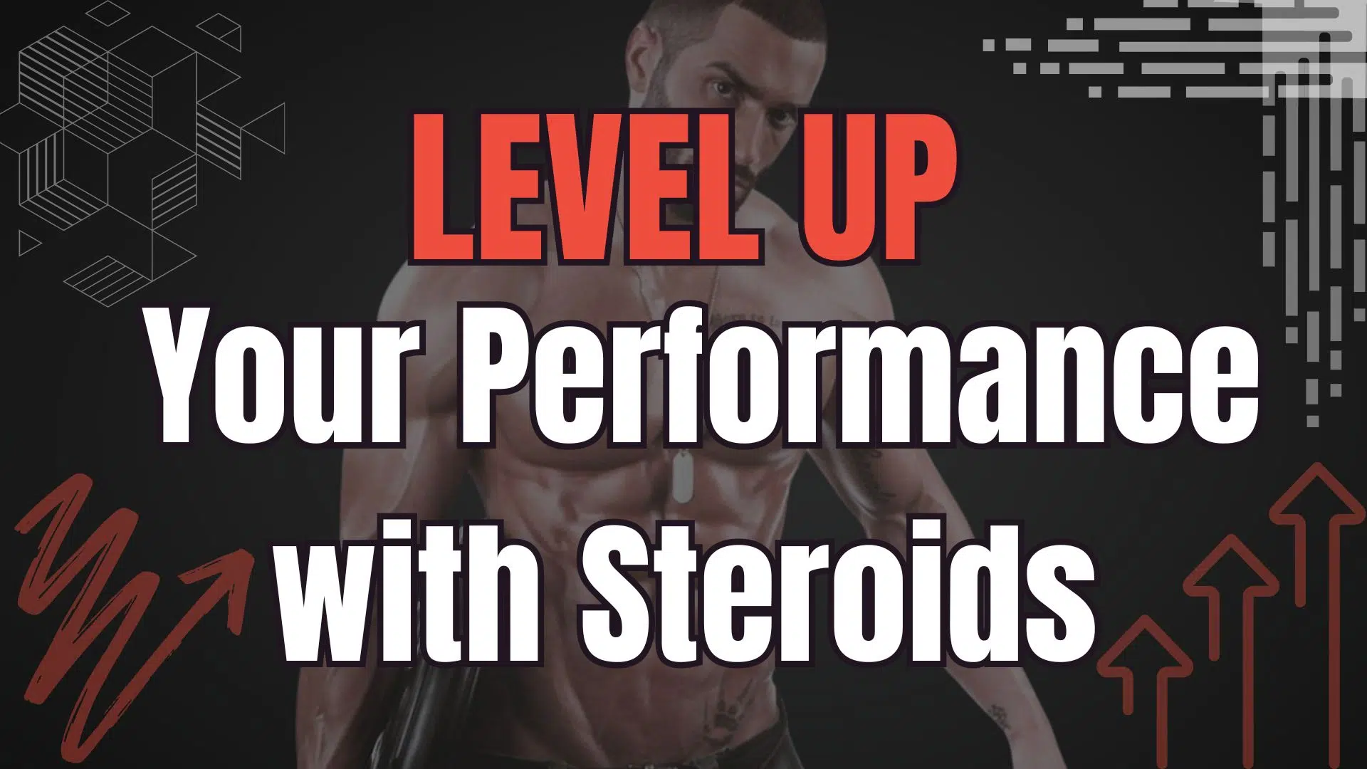 Level Up Your Performance with Steroids