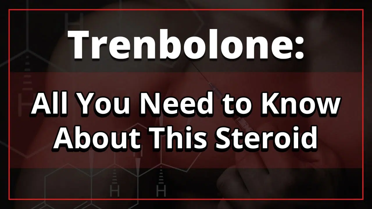 Trenbolone: All You Need to Know About This Steroid