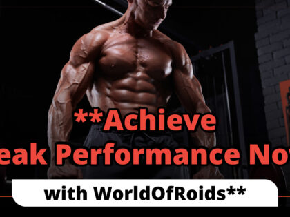 Achieve Peak Performance Now with WorldOfRoids