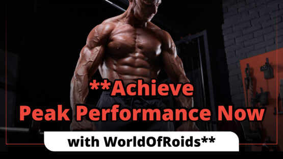 Achieve Peak Performance Now with WorldOfRoids