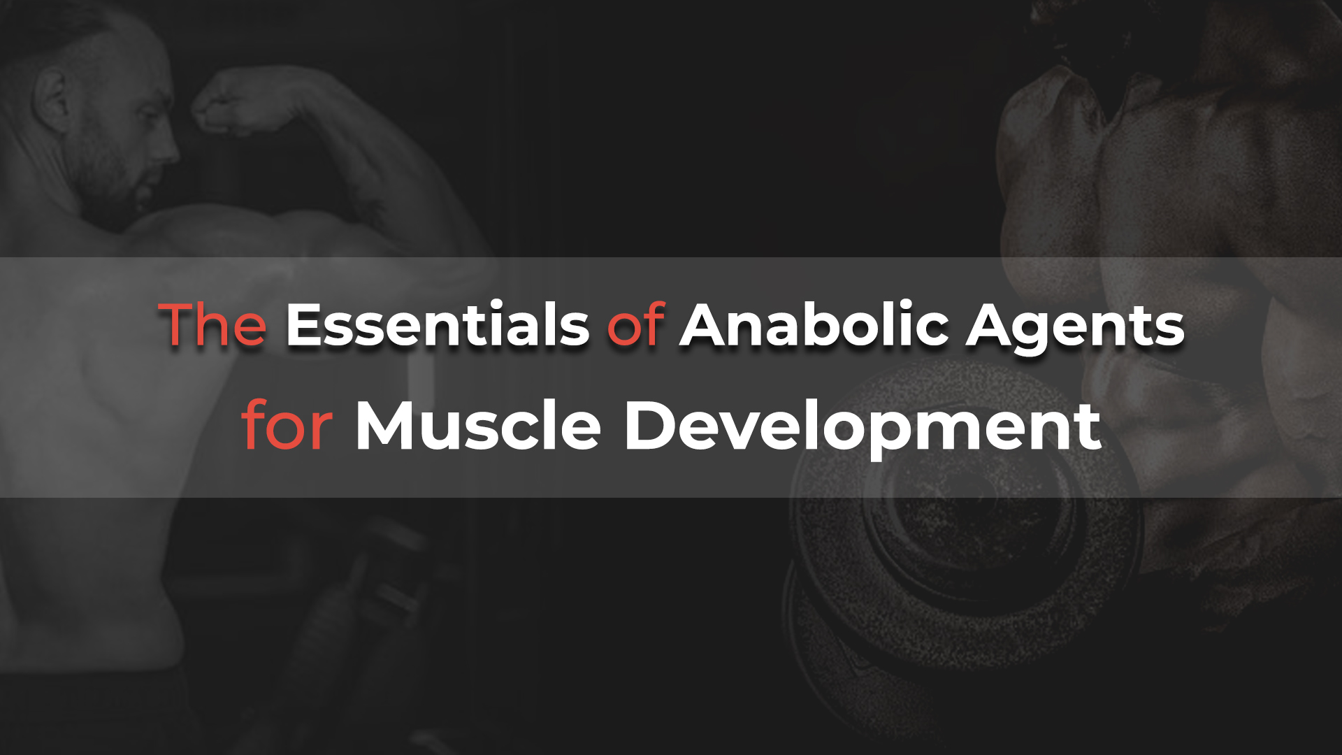 The Essentials of Anabolic