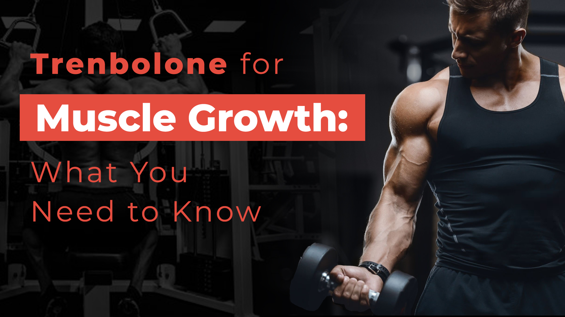 Trenbolone for Muscle Growth